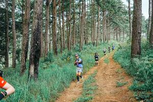 BIB: 
                            <button type="button" onclick="openModal(25661429)" class="btn btn-primary btn-sm float-right btn-popup" data-toggle="modal" data-target=".modal-high-quality">
                        <i class="fas fa-shopping-cart"></i> Add to Cart
                    </button>
                                            <button type="button" onclick="isThisMe(25661429, true)" class="btn btn-success btn-sm float-right btn-popup btn-isme hidden" data-toggle="tooltip" data-placement="bottom" title="นี่คือรูปของคุณใช่ไหม คลิกที่นี่เพื่อเอาเข้าอัลบั้ม">
                        <i class="fas fa-plus"></i> Add to album
                    </button>
                    <button type="button" onclick="isThisMe(25661429, false)" class="btn btn-warning btn-sm float-right btn-popup btn-isnotme hidden">
                        <i class="fas fa-ban"></i> Remove from album
                    </button>